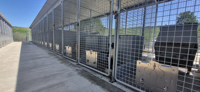 Site-wide installation